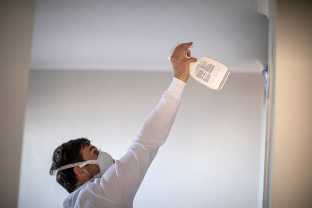 Mold Removal Process in Point Venture, TX