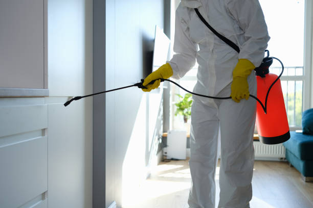 Best Professional Mold Removal  in Point Venture, TX