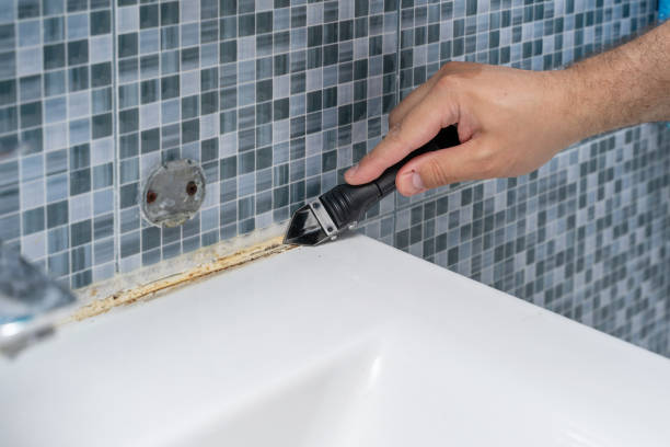 Best Professional Mold Removal  in Point Venture, TX