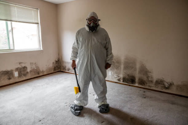 Best Emergency Mold Removal  in Point Venture, TX